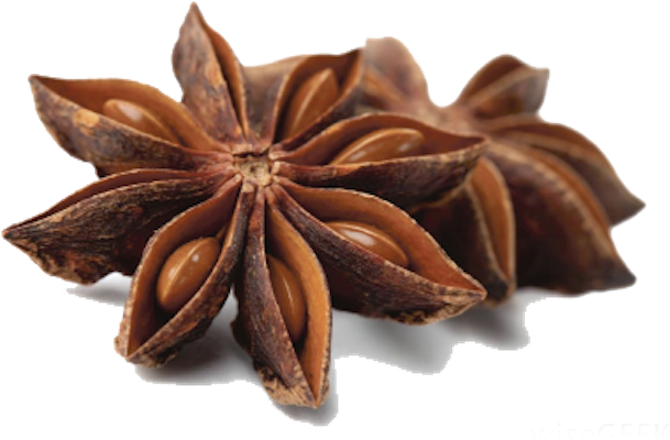 star anise