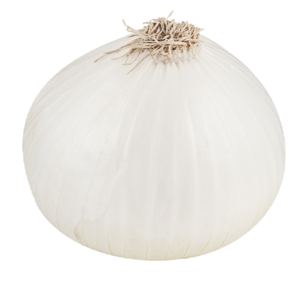 onion