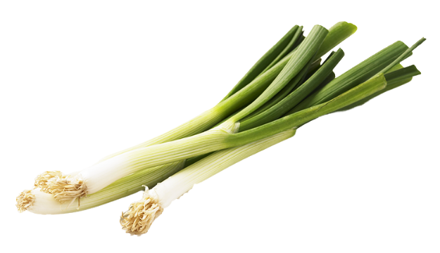 spring onion