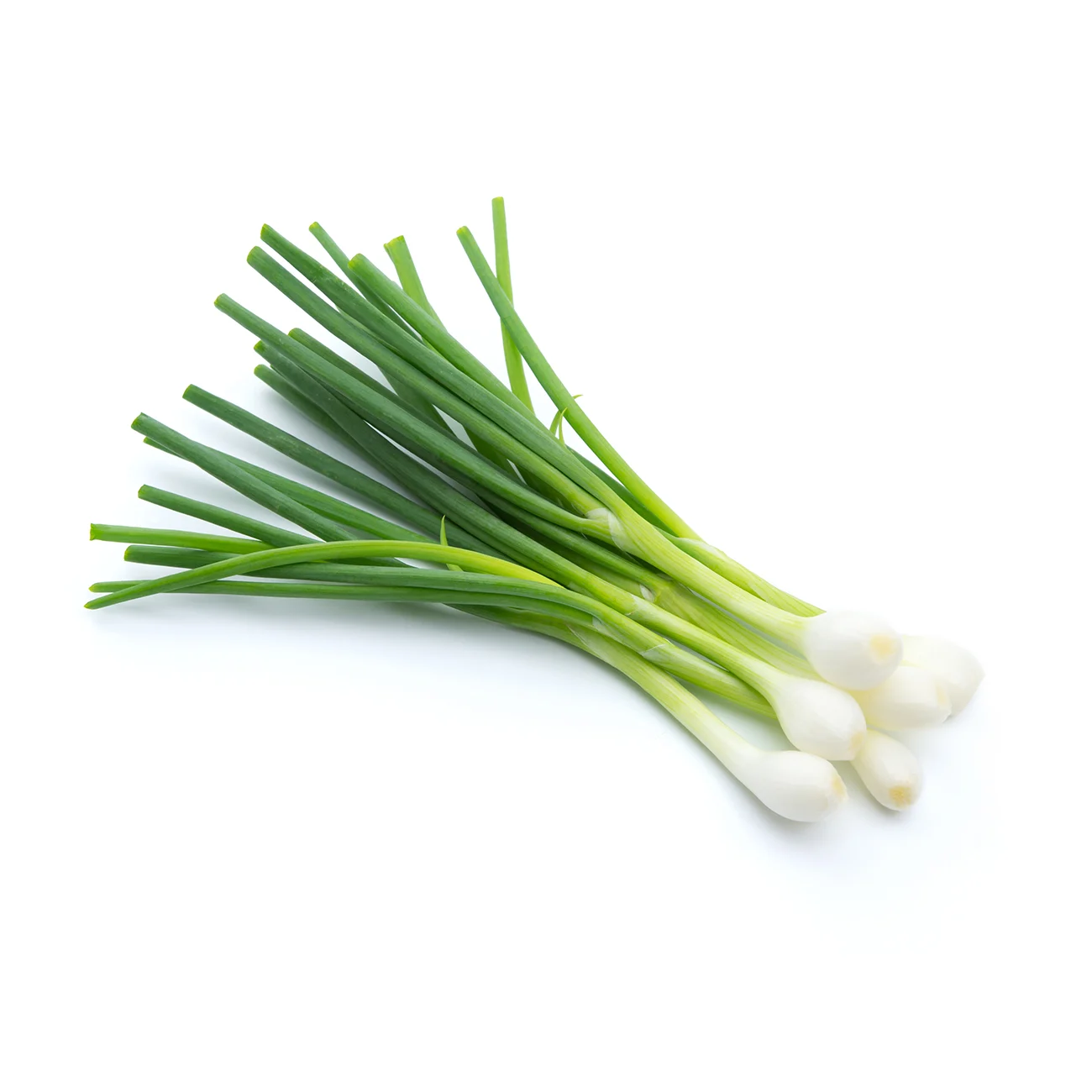 ingredient: spring onions